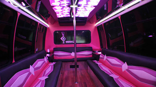 Houston Pink Party Bus called the Pink Panther